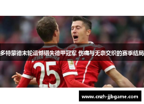 多特蒙德末轮遗憾错失德甲冠军 伤痛与无奈交织的赛季结局
