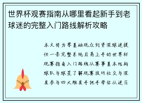 世界杯观赛指南从哪里看起新手到老球迷的完整入门路线解析攻略